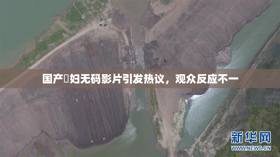 国产婬妇无码影片引发热议，观众反应不一