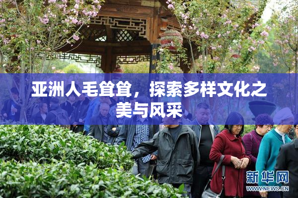 亚洲人毛耸耸，探索多样文化之美与风采