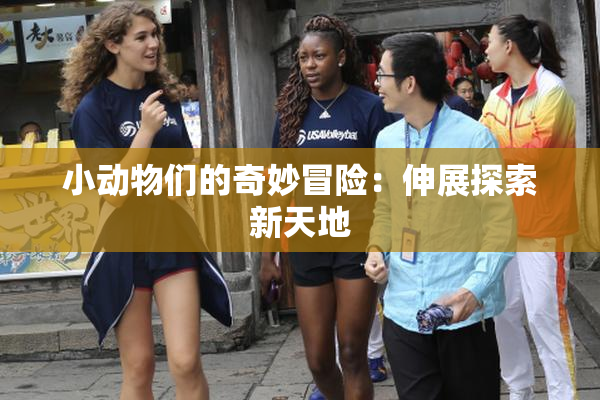 小动物们的奇妙冒险：伸展探索新天地