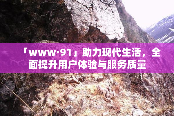 「www·91」助力现代生活，全面提升用户体验与服务质量
