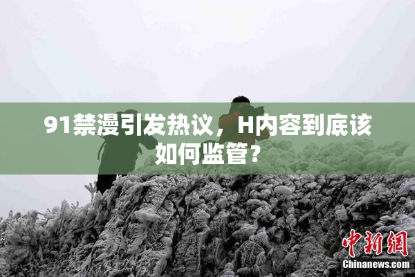 91禁漫引发热议，H内容到底该如何监管？