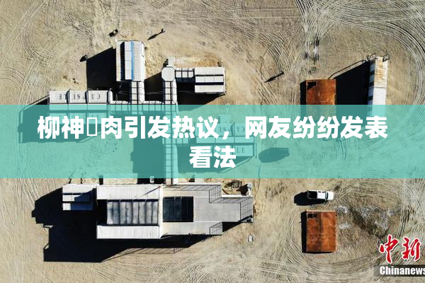 柳神婬肉引发热议，网友纷纷发表看法