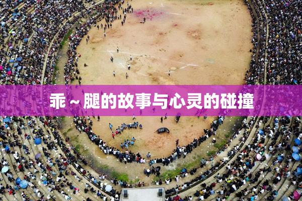 乖～腿的故事与心灵的碰撞