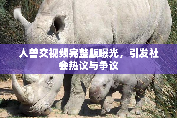人兽交视频完整版曝光，引发社会热议与争议