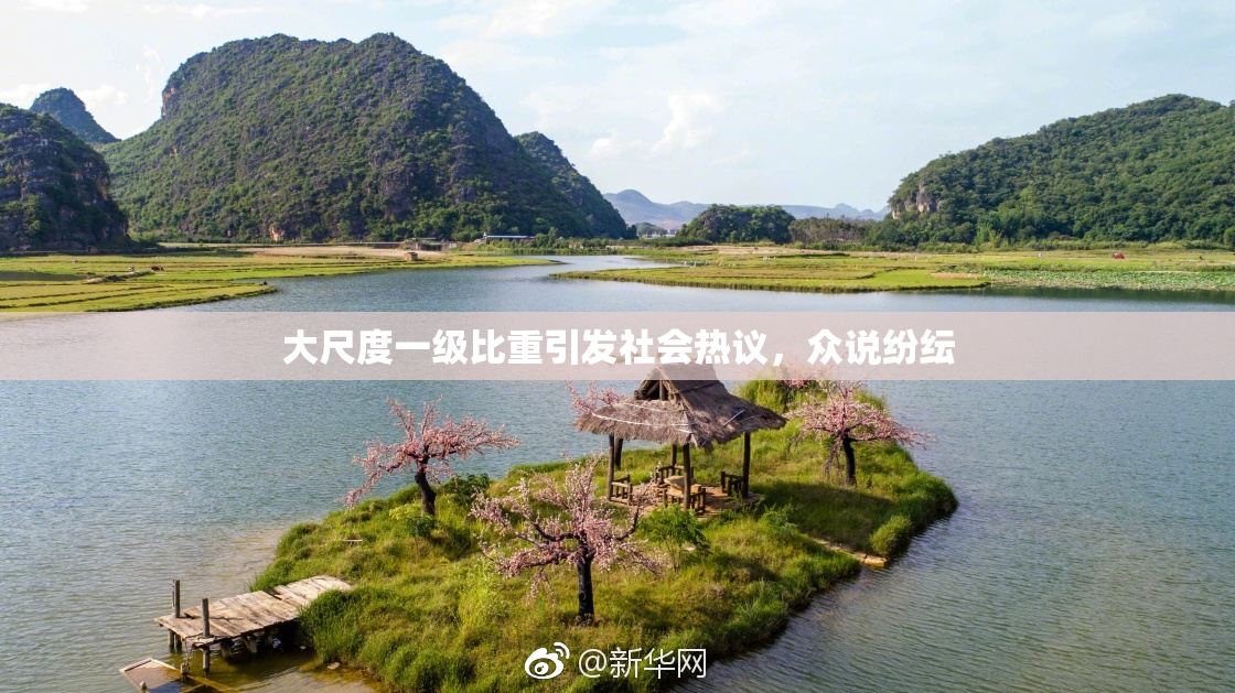 大尺度一级比重引发社会热议，众说纷纭