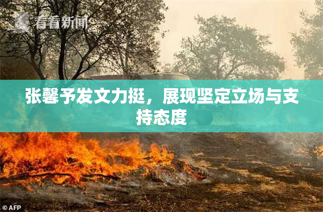 张馨予发文力挺，展现坚定立场与支持态度