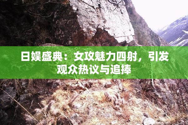 日娱盛典：女攻魅力四射，引发观众热议与追捧