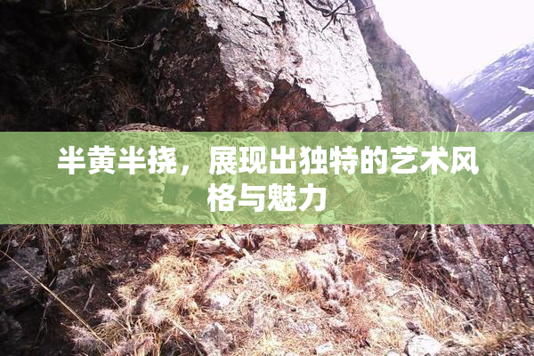 半黄半挠，展现出独特的艺术风格与魅力