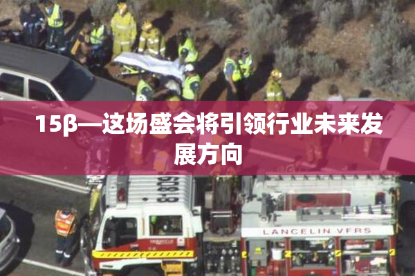15β—这场盛会将引领行业未来发展方向