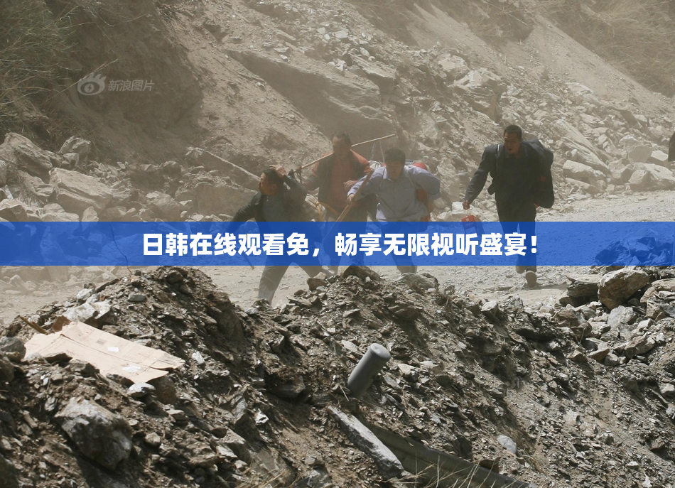 日韩在线观看免，畅享无限视听盛宴！
