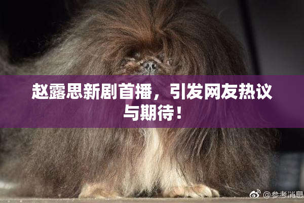 赵露思新剧首播，引发网友热议与期待！