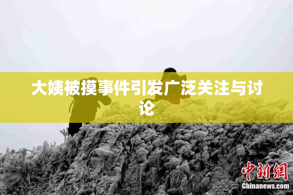 大姨被摸事件引发广泛关注与讨论
