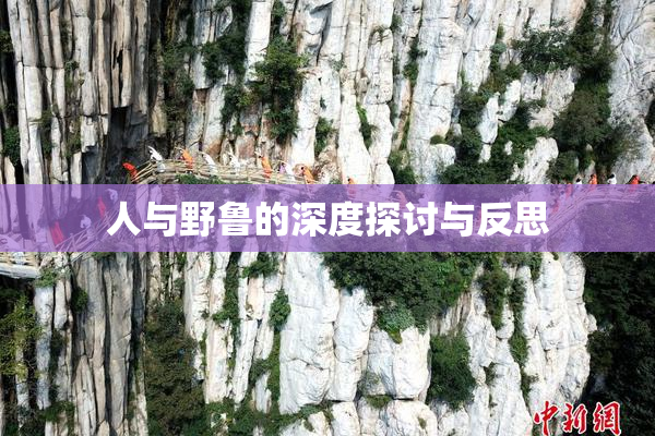 人与野鲁的深度探讨与反思