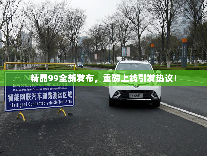 精品99全新发布，重磅上线引发热议！