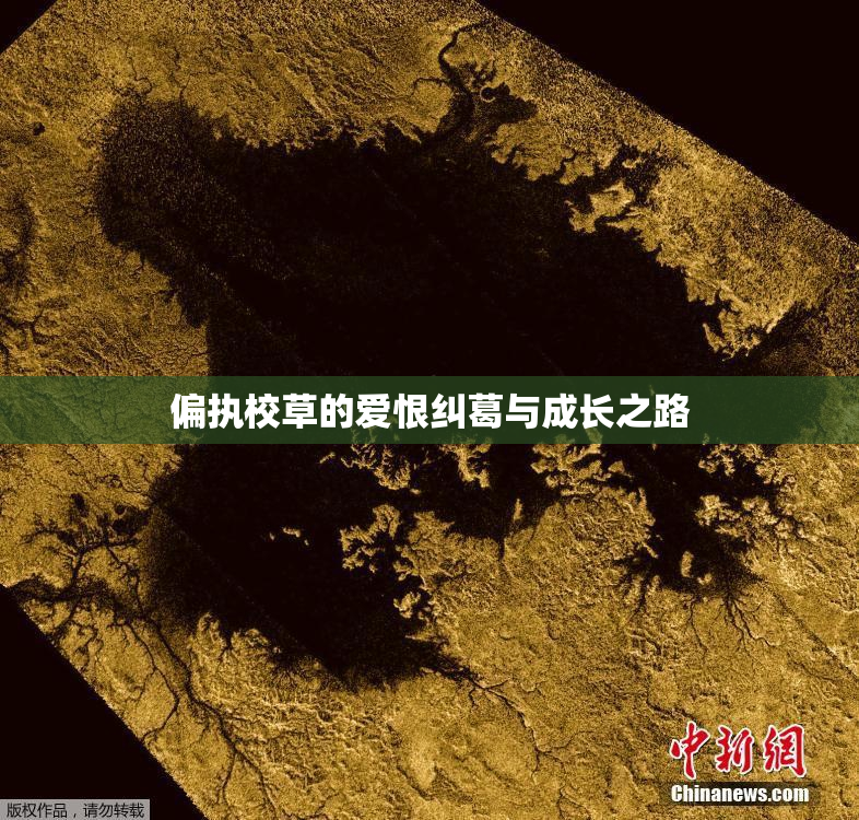 偏执校草的爱恨纠葛与成长之路