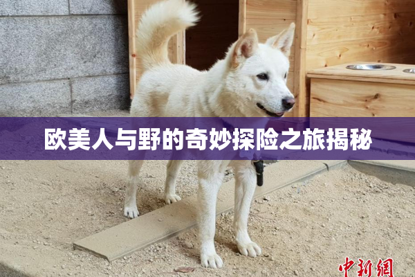 欧美人与野的奇妙探险之旅揭秘