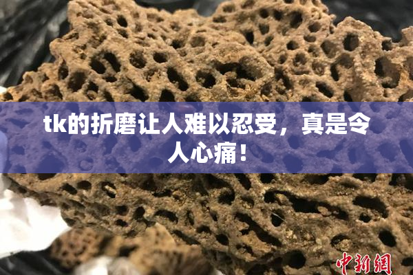 tk的折磨让人难以忍受，真是令人心痛！