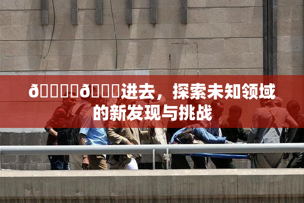 🔞‌🍌进去，探索未知领域的新发现与挑战