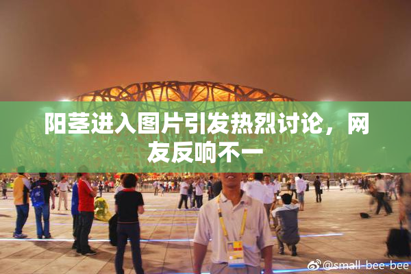 阳茎进入图片引发热烈讨论，网友反响不一
