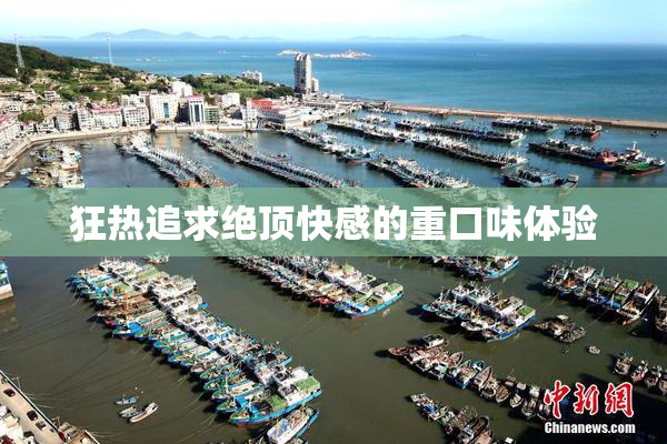 狂热追求绝顶快感的重口味体验
