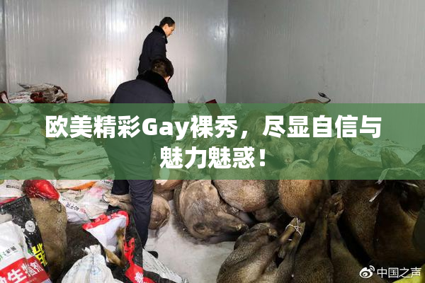 欧美精彩Gay裸秀，尽显自信与魅力魅惑！