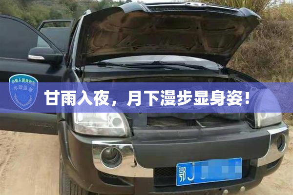 甘雨入夜，月下漫步显身姿！