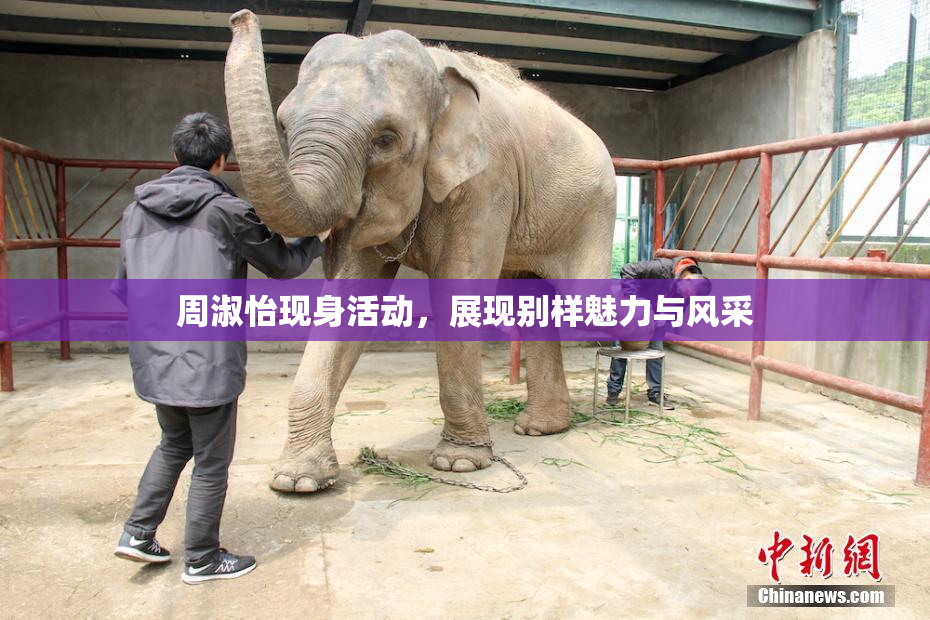 周淑怡现身活动，展现别样魅力与风采