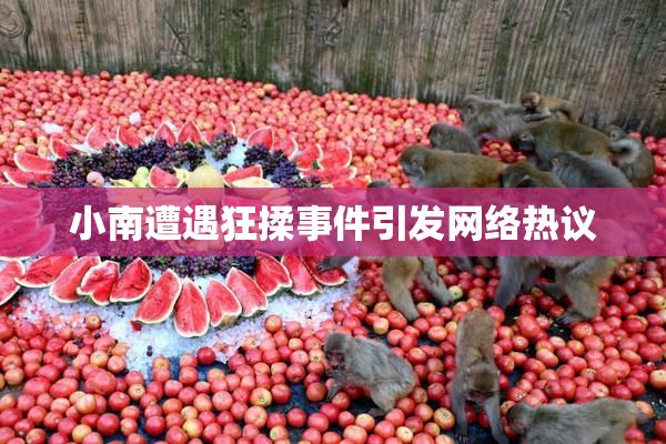 小南遭遇狂揉事件引发网络热议