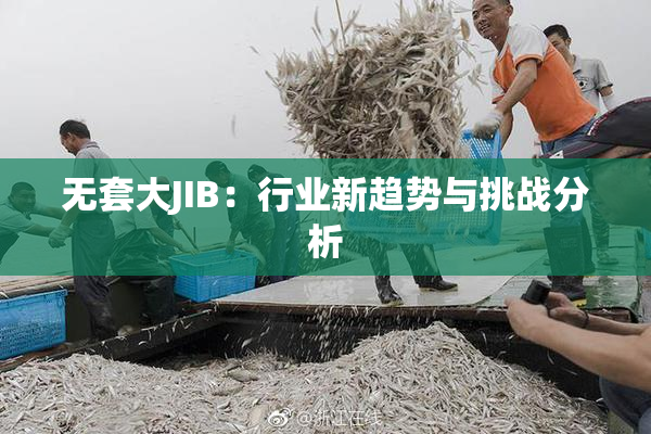 无套大JIB：行业新趋势与挑战分析