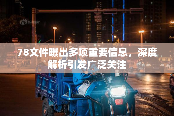 78文件曝出多项重要信息，深度解析引发广泛关注
