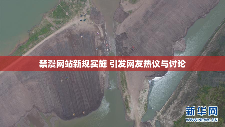禁漫网站新规实施 引发网友热议与讨论