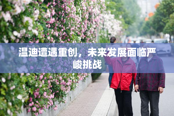 温迪遭遇重创，未来发展面临严峻挑战