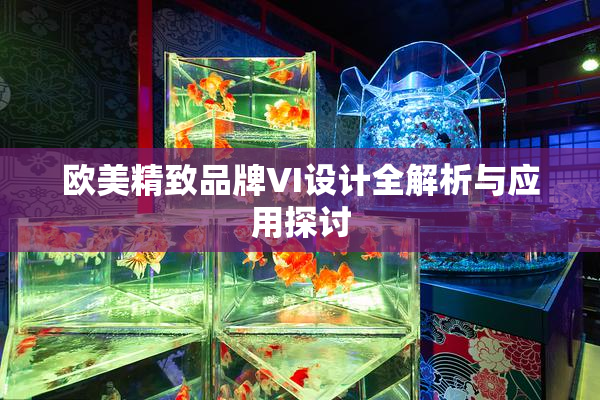 欧美精致品牌VI设计全解析与应用探讨