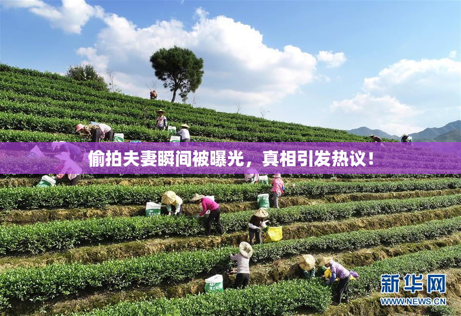 偷拍夫妻瞬间被曝光，真相引发热议！