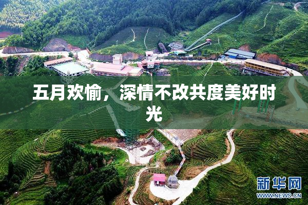 五月欢愉，深情不改共度美好时光