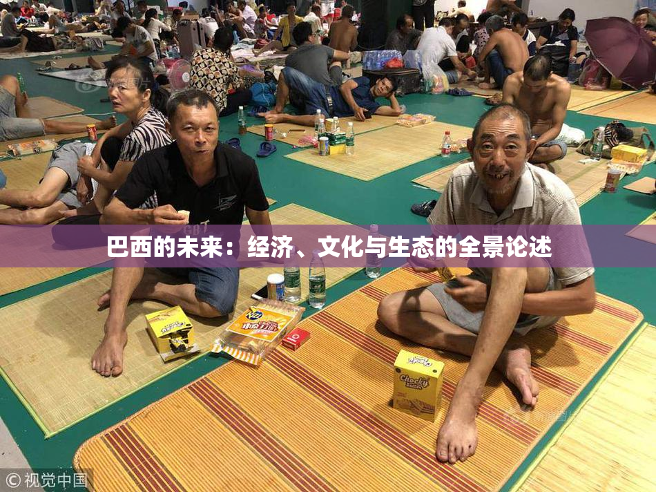 巴西的未来：经济、文化与生态的全景论述