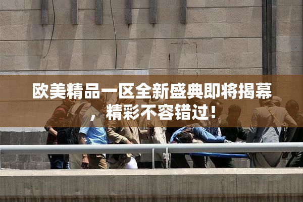 欧美精品一区全新盛典即将揭幕，精彩不容错过！