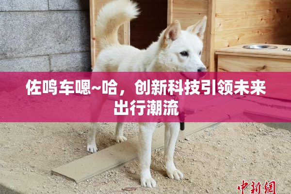 佐鸣车嗯~哈，创新科技引领未来出行潮流