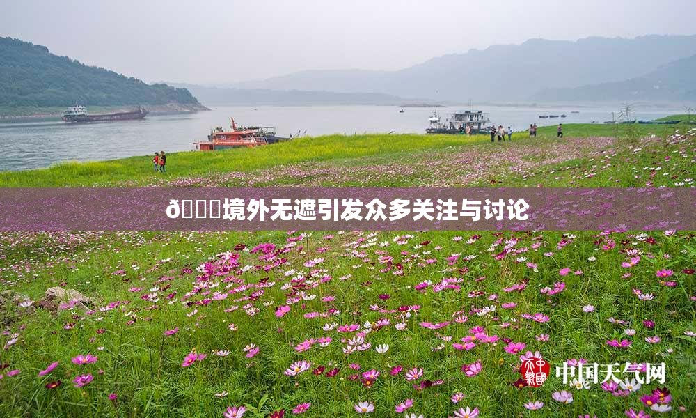 🔞境外无遮引发众多关注与讨论