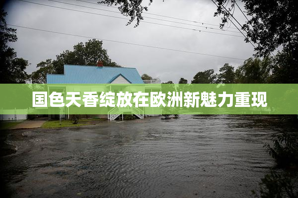 国色天香绽放在欧洲新魅力重现