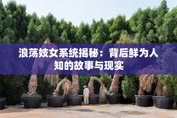 浪荡妓女系统揭秘：背后鲜为人知的故事与现实