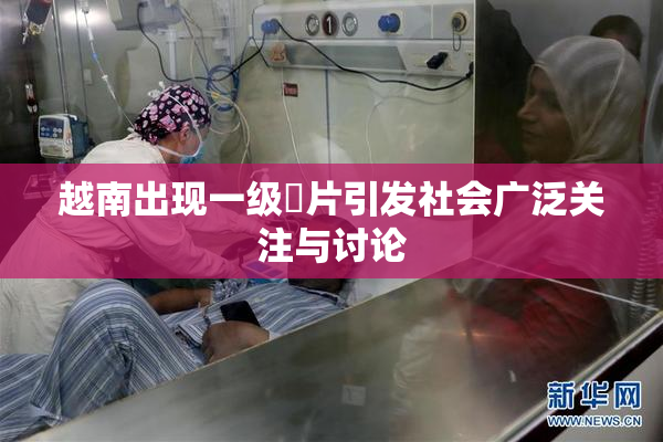 越南出现一级婬片引发社会广泛关注与讨论