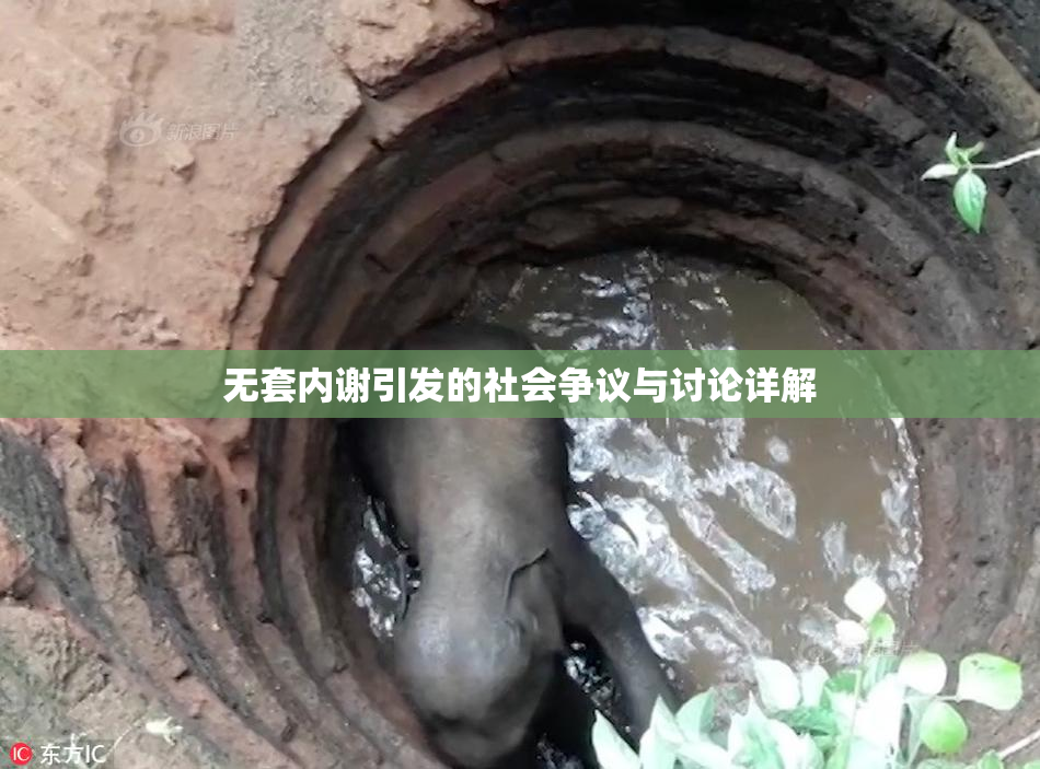 无套内谢引发的社会争议与讨论详解
