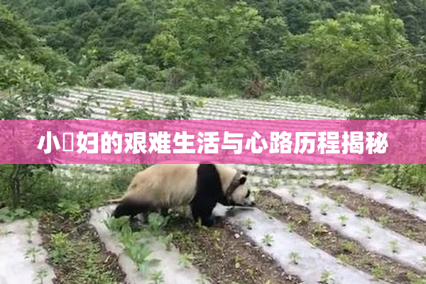 小婬妇的艰难生活与心路历程揭秘