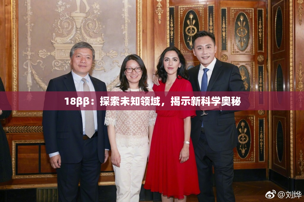 18ββ：探索未知领域，揭示新科学奥秘
