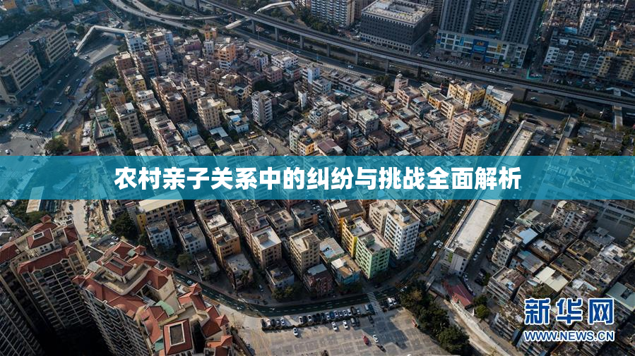 农村亲子关系中的纠纷与挑战全面解析