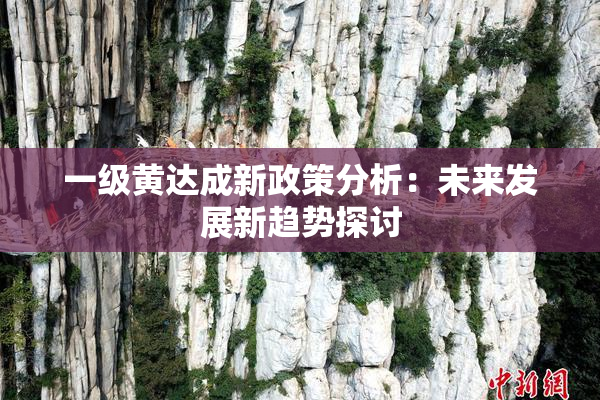 一级黄达成新政策分析：未来发展新趋势探讨