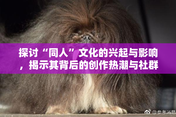 探讨“同人”文化的兴起与影响，揭示其背后的创作热潮与社群互动。