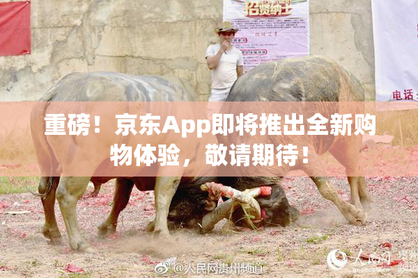 重磅！京东App即将推出全新购物体验，敬请期待！