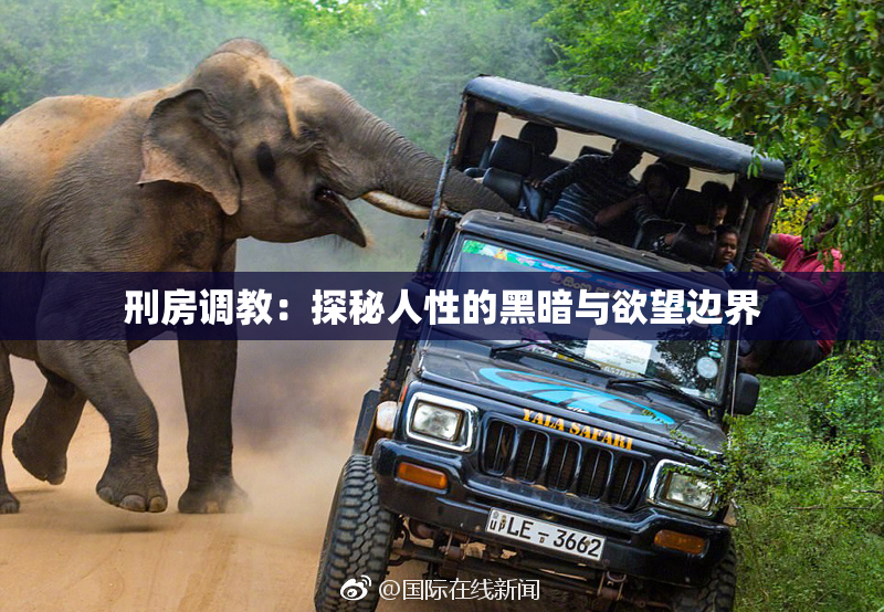 刑房调教：探秘人性的黑暗与欲望边界